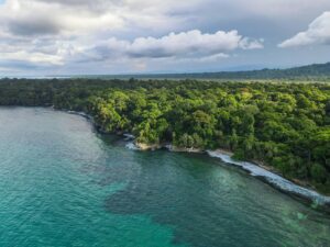 Stunning aerial view of Punta Uva's coastline with dense tropical forest and turquoise waters in Costa Rica.