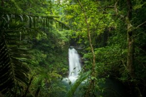 A stunning waterfall cascading through dense jungle foliage, creating a serene nature scene.